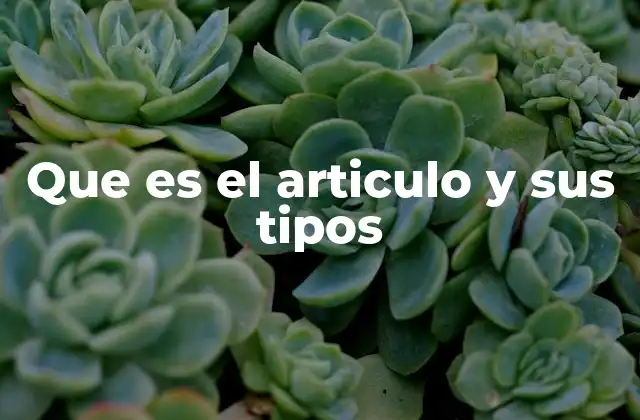 Que es el Articulo y Sus Tipos