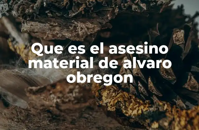 Que es el Asesino Material de Alvaro Obregon