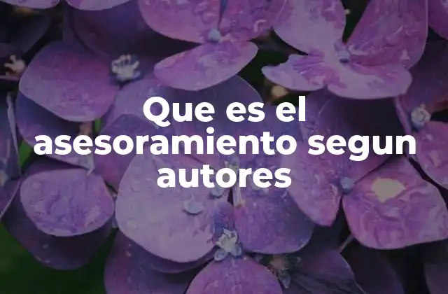 Que es el Asesoramiento Segun Autores