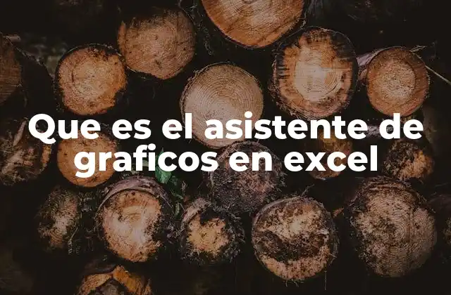 Que es el Asistente de Graficos en Excel