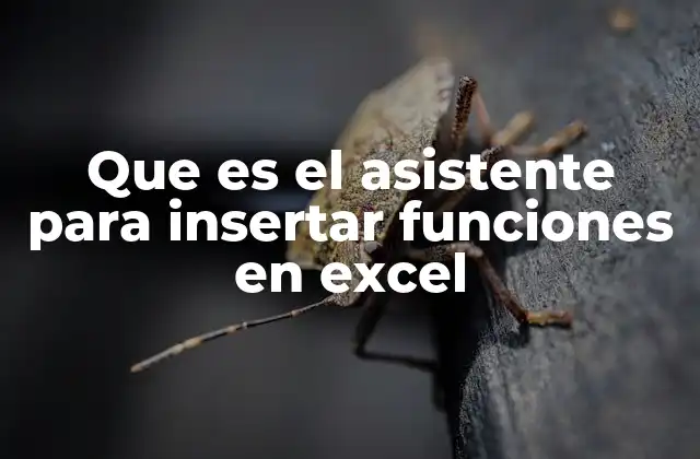 Que es el Asistente para Insertar Funciones en Excel