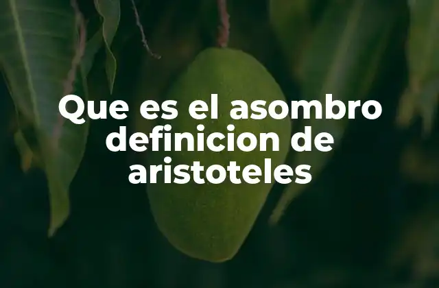 Que es el Asombro Definicion de Aristoteles