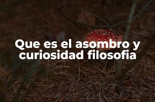 El origen del asombro y la curiosidad en la filosofía griega