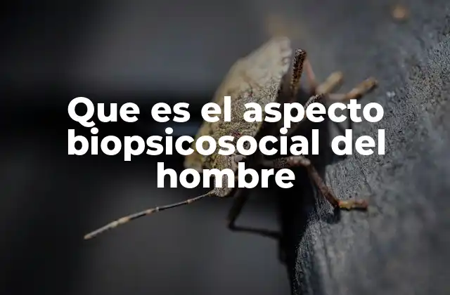 Que es el Aspecto Biopsicosocial Del Hombre