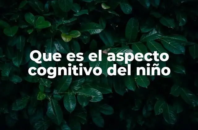 Que es el Aspecto Cognitivo Del Niño