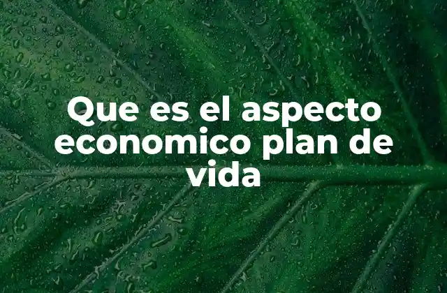 La importancia del aspecto económico en la planificación personal