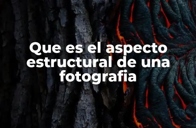 Que es el Aspecto Estructural de una Fotografia
