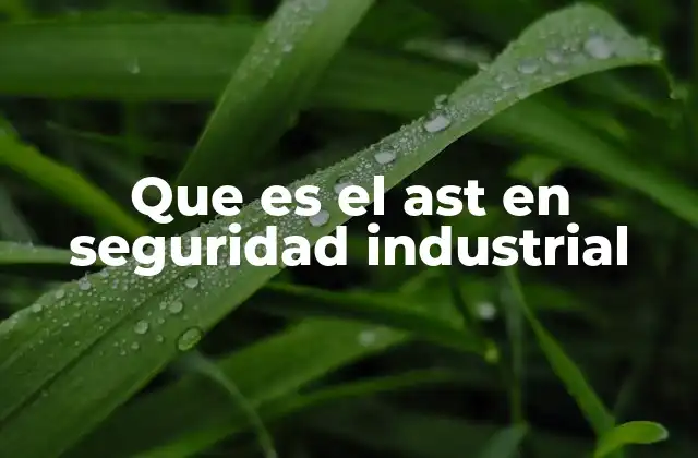 Que es el Ast en Seguridad Industrial