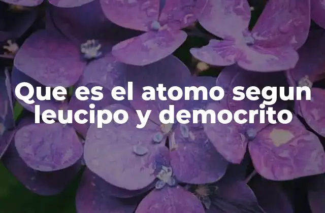 Que es el Atomo Segun Leucipo y Democrito