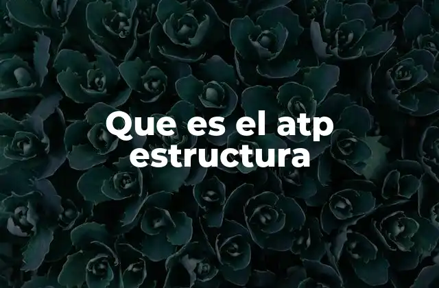 Que es el Atp Estructura