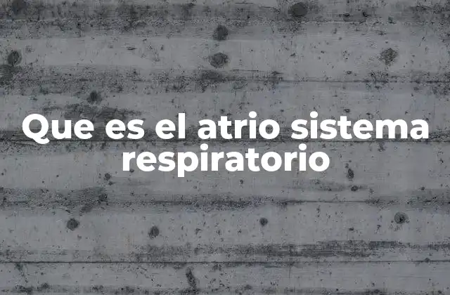 Que es el Atrio Sistema Respiratorio