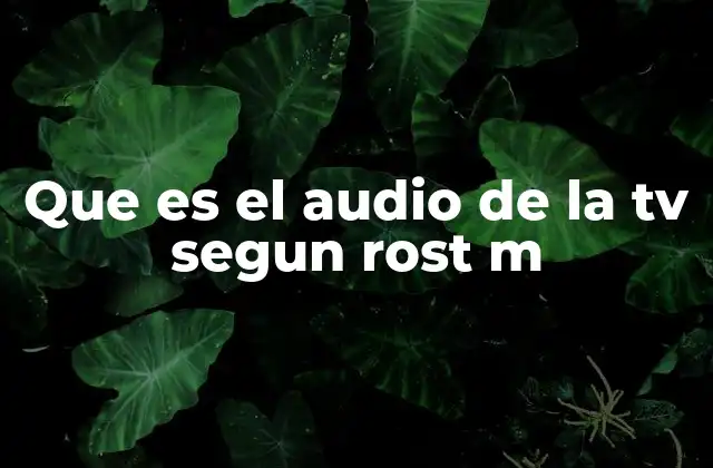 Que es el Audio de la Tv Segun Rost M