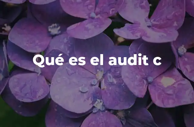 El proceso detrás de la revisión de código en C