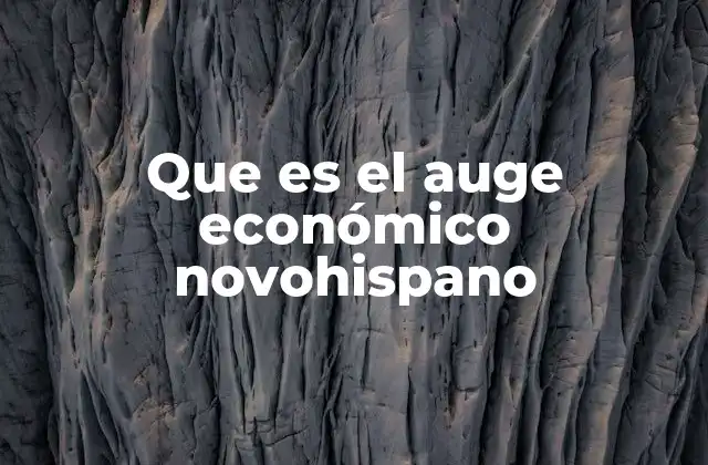 Que es el Auge Económico Novohispano