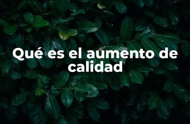 Qué es el Aumento de Calidad