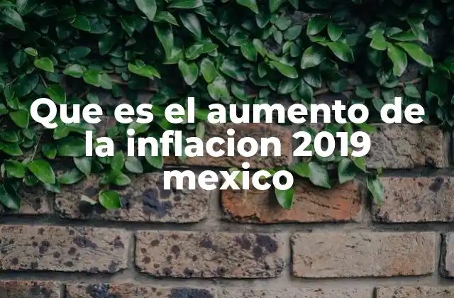 Que es el Aumento de la Inflacion 2019 Mexico