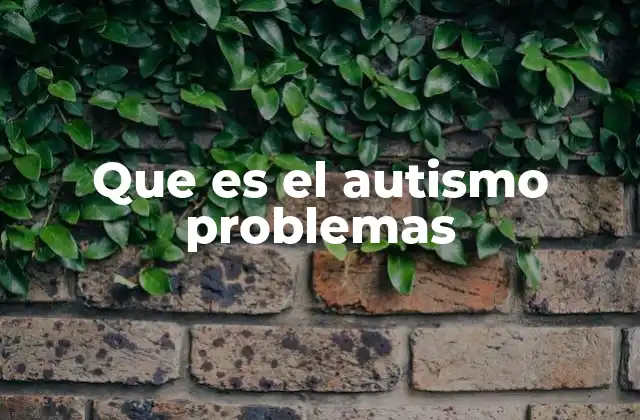 Que es el Autismo Problemas
