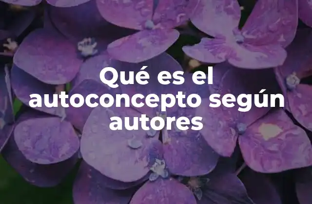 Qué es el Autoconcepto según Autores