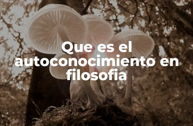 Que es el Autoconocimiento en Filosofia