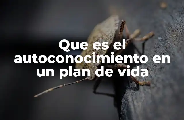 Que es el Autoconocimiento en un Plan de Vida