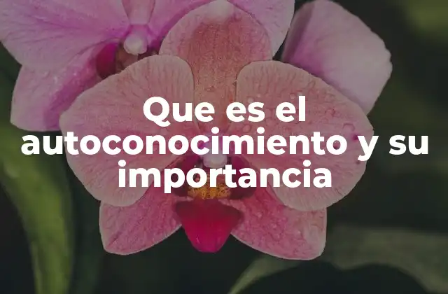 Que es el Autoconocimiento y Su Importancia