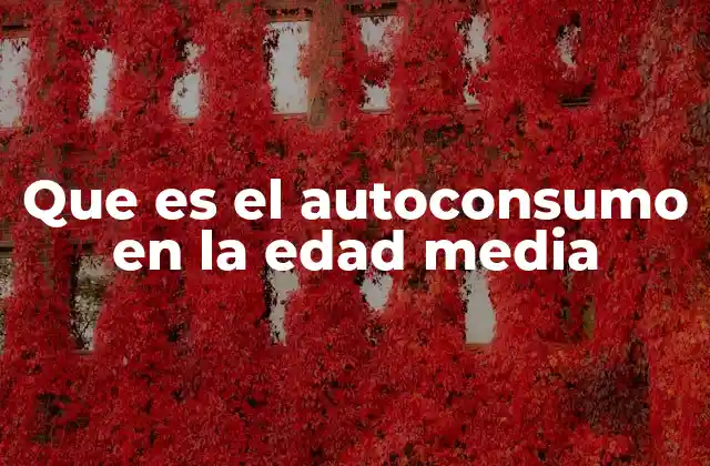 Que es el Autoconsumo en la Edad Media