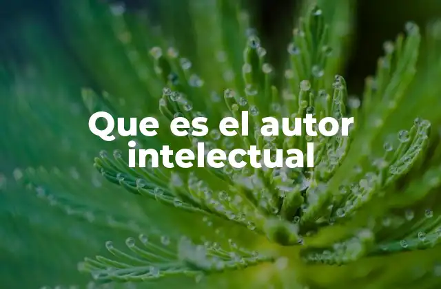 Que es el Autor Intelectual