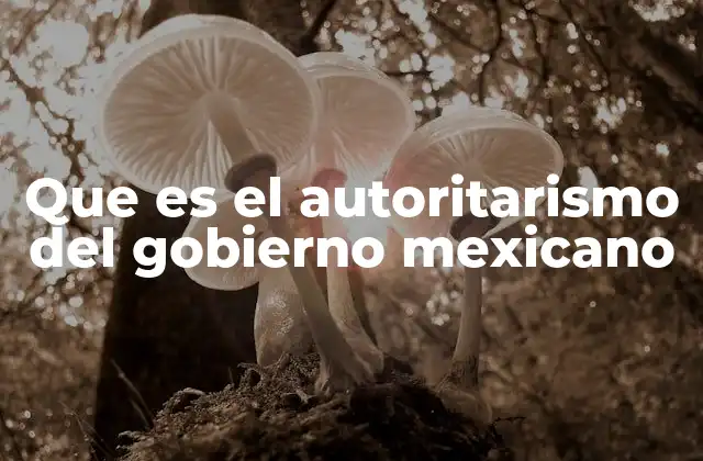 Que es el Autoritarismo Del Gobierno Mexicano