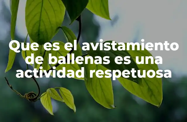 Que es el Avistamiento de Ballenas es una Actividad Respetuosa
