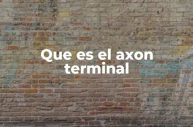 Que es el Axon Terminal