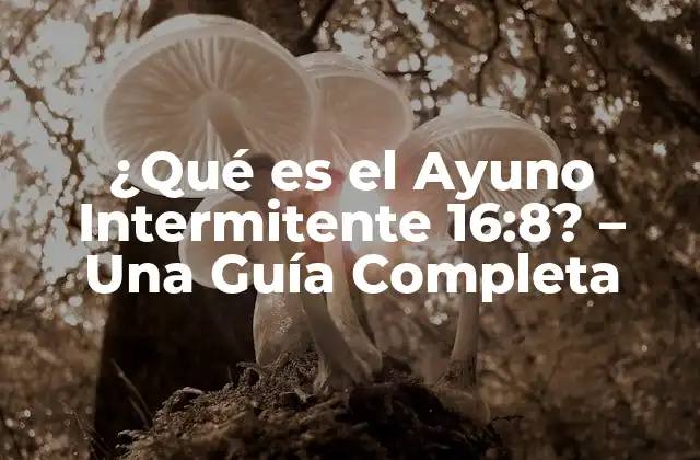 ¿Cómo Funciona el Ayuno Intermitente 16:8?