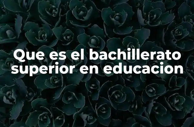 Que es el Bachillerato Superior en Educacion 2 El rol del bachillerato superior en la formación integral del estudiante