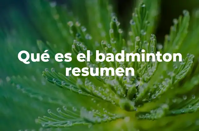 El badminton como deporte de precisión y estrategia