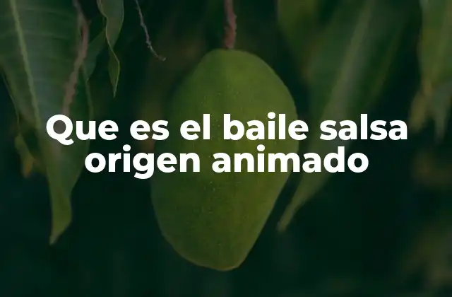 Que es el Baile Salsa Origen Animado