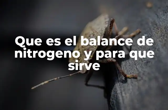 Que es el Balance de Nitrogeno y para que Sirve