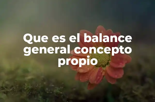 Que es el Balance General Concepto Propio