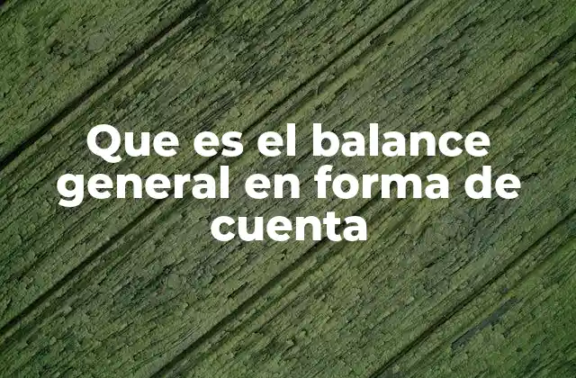 Que es el Balance General en Forma de Cuenta