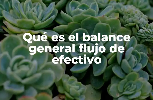 La importancia de analizar la liquidez en empresas