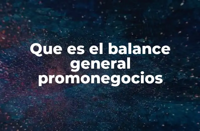 Que es el Balance General Promonegocios