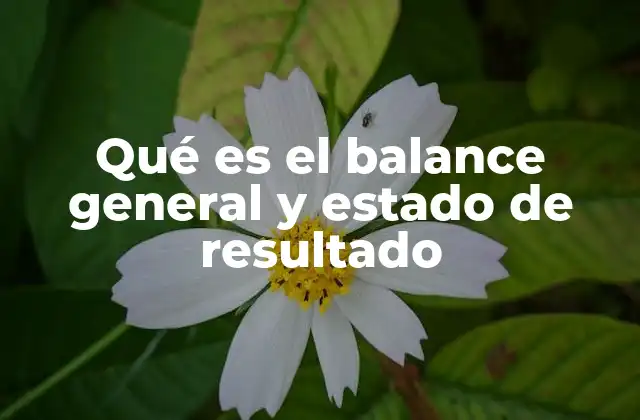Qué es el Balance General y Estado de Resultado