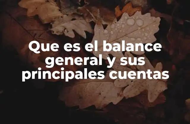 Que es el Balance General y Sus Principales Cuentas