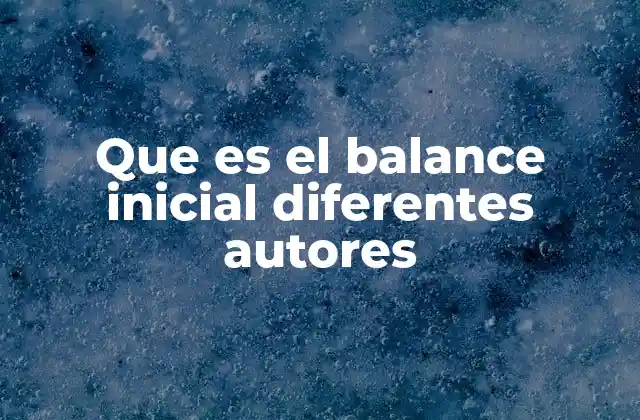 Que es el Balance Inicial Diferentes Autores