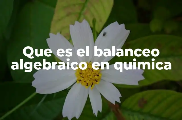 Que es el Balanceo Algebraico en Quimica