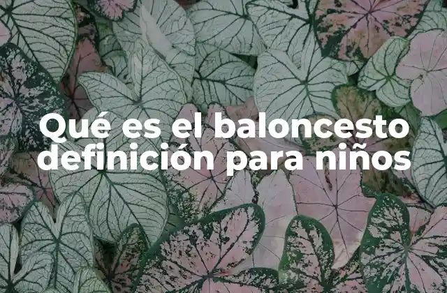 Qué es el Baloncesto Definición para Niños