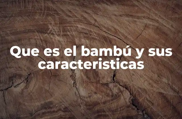 Que es el Bambú y Sus Caracteristicas 2 La importancia ecológica del bambú