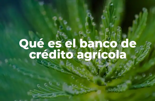 Qué es el Banco de Crédito Agrícola