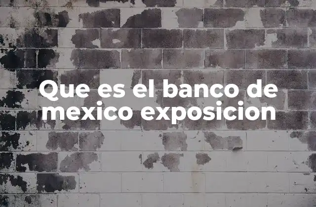 Que es el Banco de Mexico Exposicion