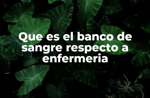 Que es el Banco de Sangre Respecto a Enfermeria
