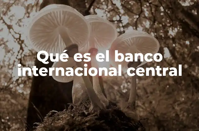 Qué es el Banco Internacional Central 2 El rol del Banco Central en la economía nacional