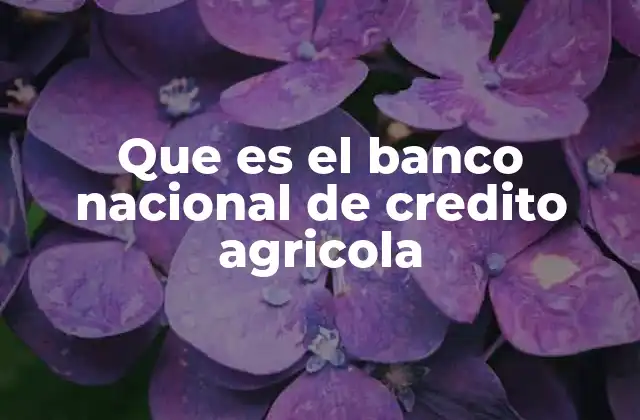 Que es el Banco Nacional de Credito Agricola